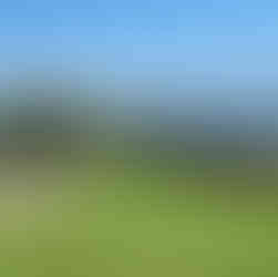 55 Mejores cosas que ver y hacer en Sídney