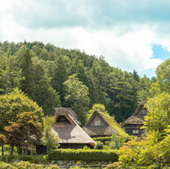Cómo ir de Tokio a Takayama, Japón