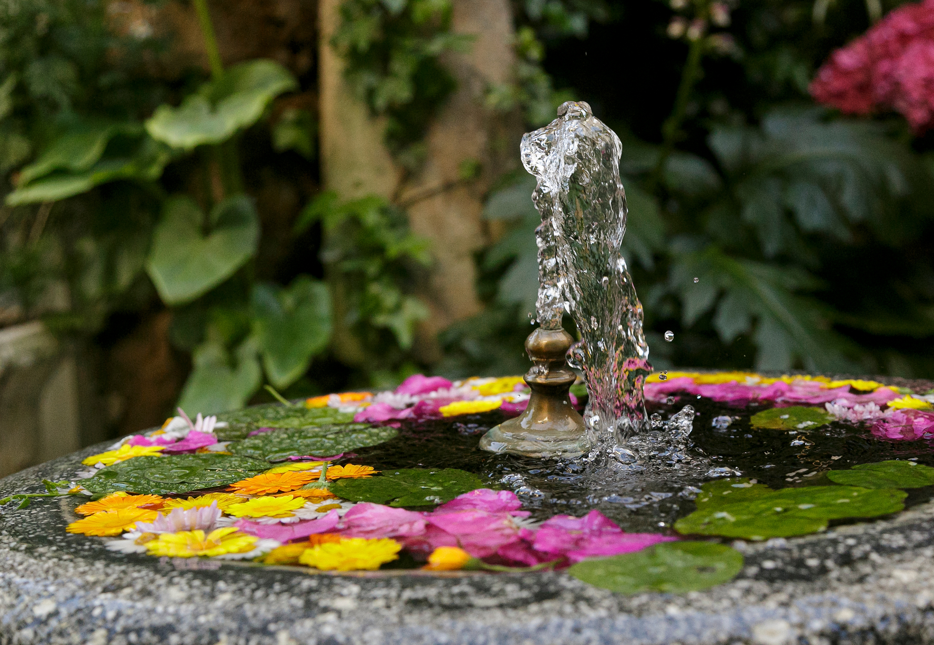 Un paseo por Los Patios de Córdoba
