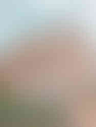 20 Imprescindibles que ver y hacer en Ávila