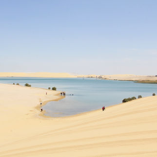 How to visit the Fayum Desert and its ocasis, Egypt