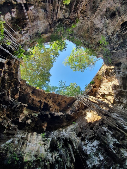 10 Mejores cenotes que ver en Tulum, México