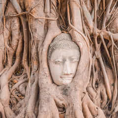 How to go from Bangkok to Ayutthaya