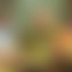 20 Curiosidades de Nicaragua que te sorprenderán