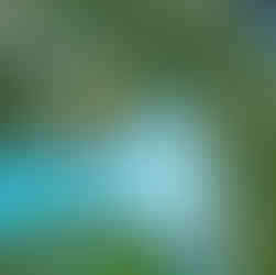 imprescindibles que ver y hacer en Ho Chi Minh (Vietnam)