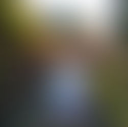 Visitar el santuario Futarasan y el puente Shinkyo, Nikko