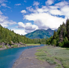 15 Imprescindibles que ver y hacer en Anchorage, Alaska