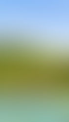 10 Imprescindibles que ver y hacer en Port Barton, Filipinas