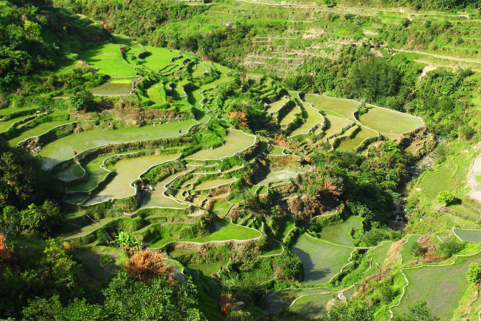 Qué ver en Banaue, Filipinas