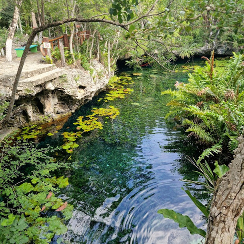 10 Mejores cenotes que ver en Tulum, México