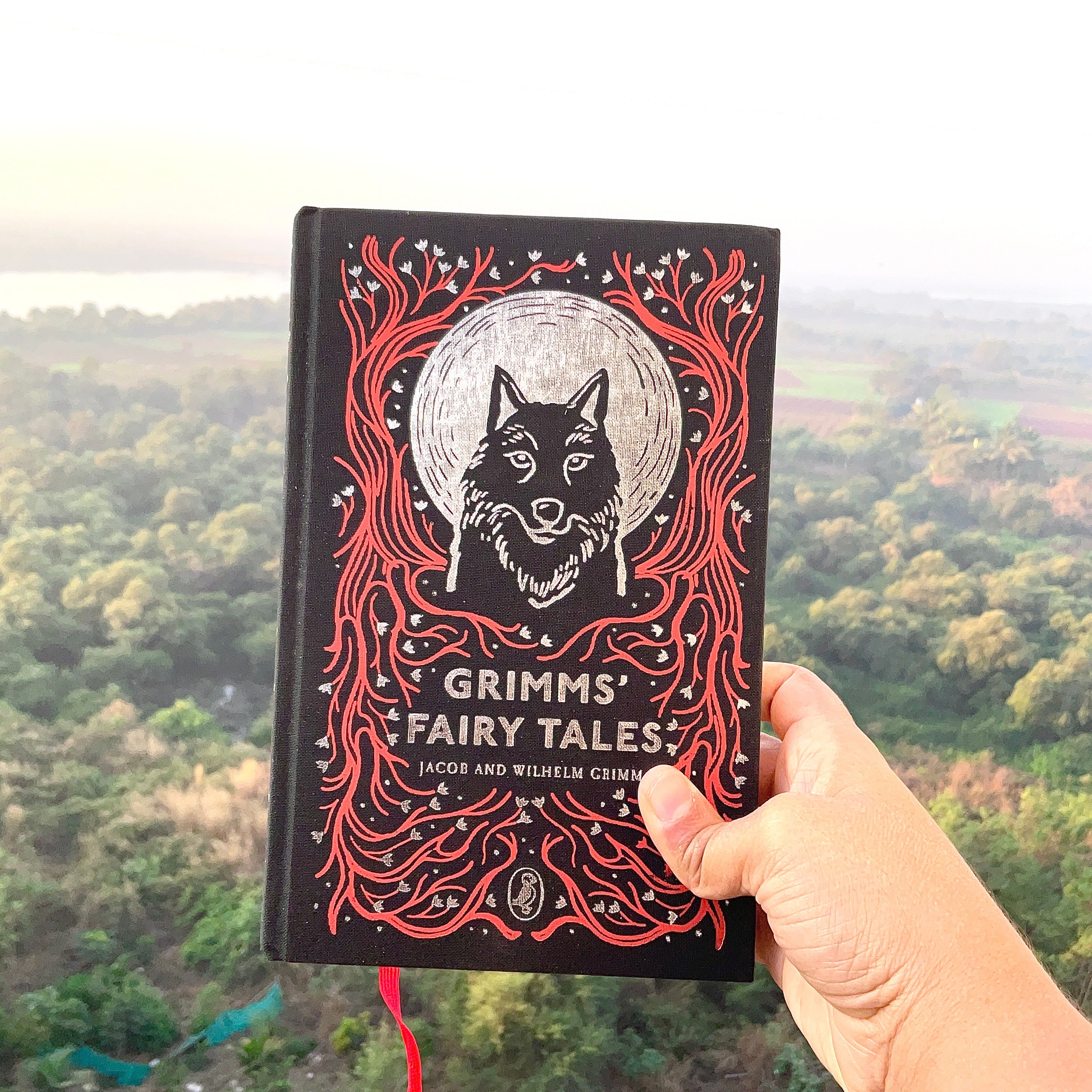 Grimms' Fairy Tales