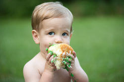 Carroll County Photographer
