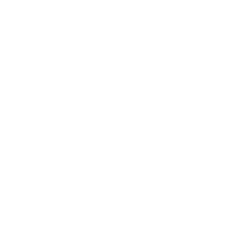 TikTok.png