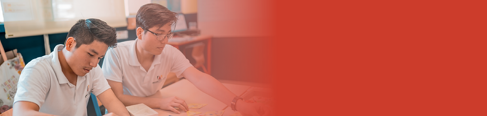 Banner1_Mesa de trabajo 1.png
