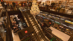 Novidade chegando a Pernambuco: rede Palato terá primeira loja em Recife-PE