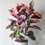 Thumbnail: Ficus Ruby 2"