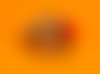 Warburtons carry bag