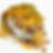 A17FE7BF-402A-420F-8954-A96D7F60C1A4.png
