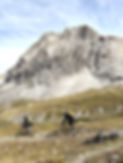 IMG-20240916-WA0050_edited.jpg