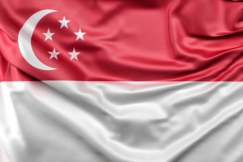 GK Han Lojistik ile Singapur Kargo Servisi