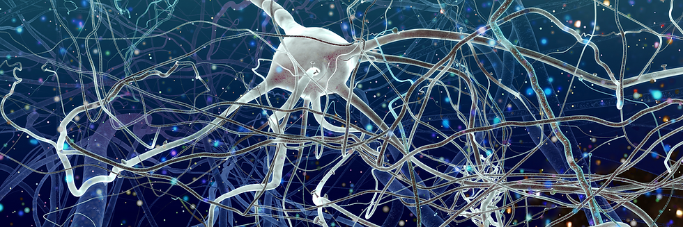 Ensemble de neurones pour représenter les connexions du cerveau