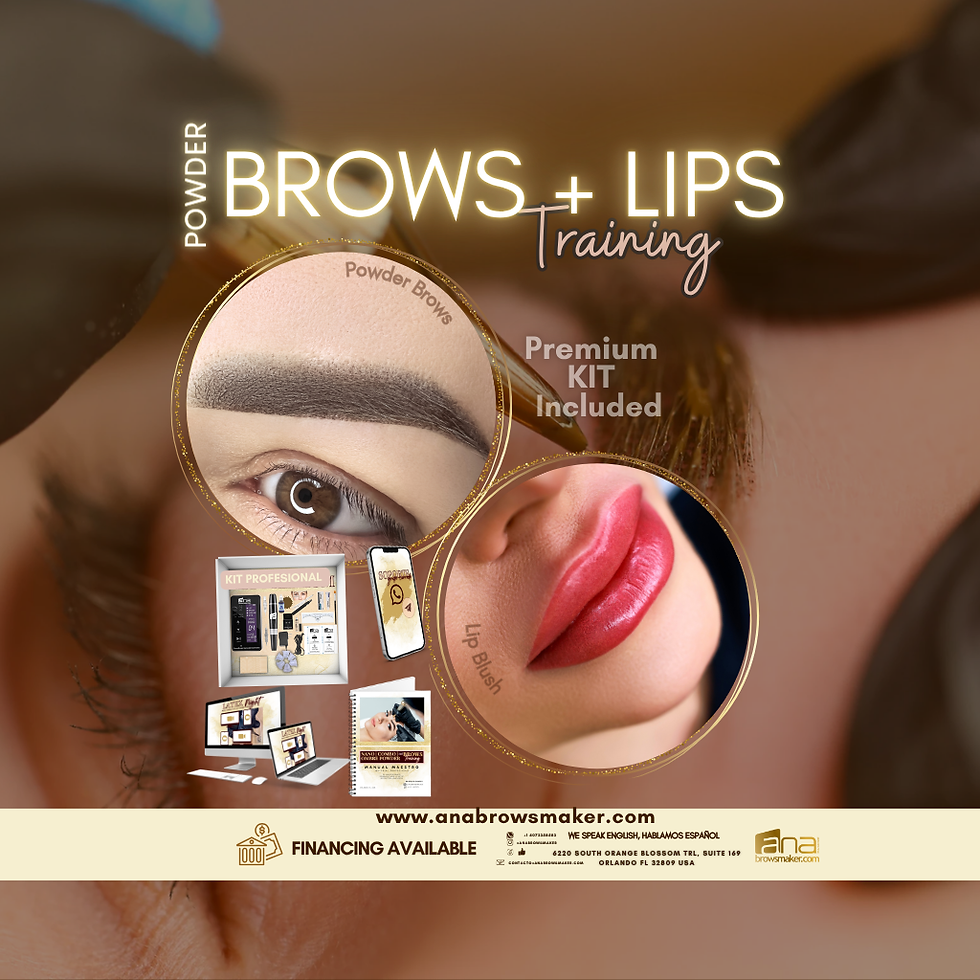 Powder brows and lip blush training 2 days in orlando fl