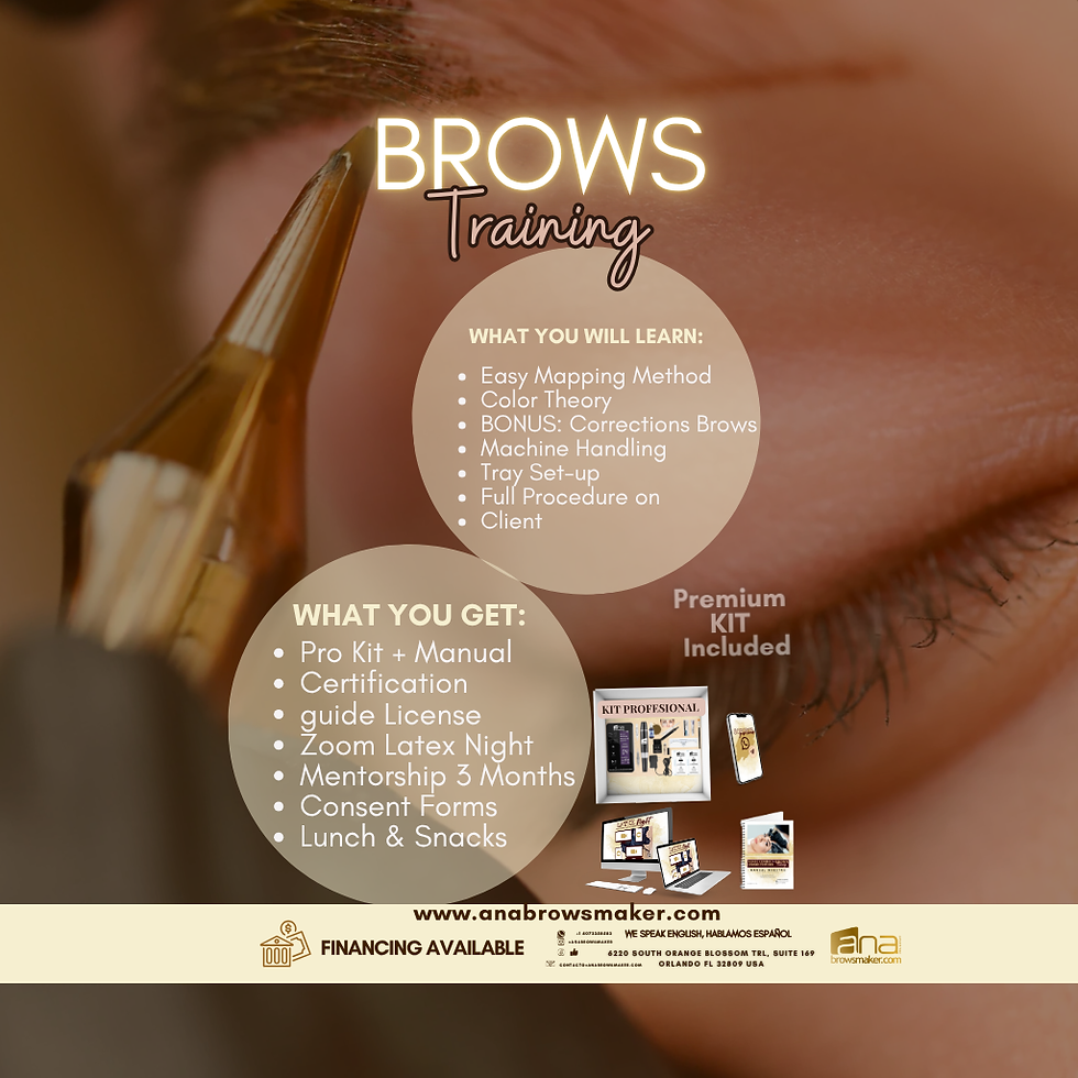 microblading vs nano brows training 1 day in orlando fl