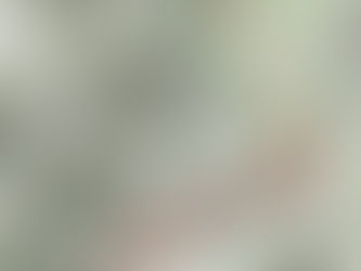 Day 6 - Switzerland to Italy and the Great Forgotten Luggage Episode