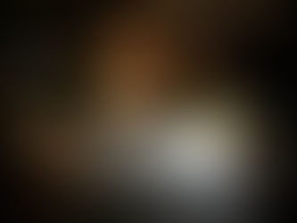 The Night in the Tree House