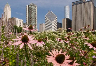 Lurie Garden