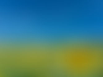 夏季休業のお知らせ