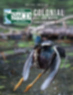 The cover of the 2024 Annual Report