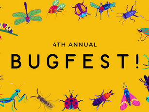 4th Annual BugFest
