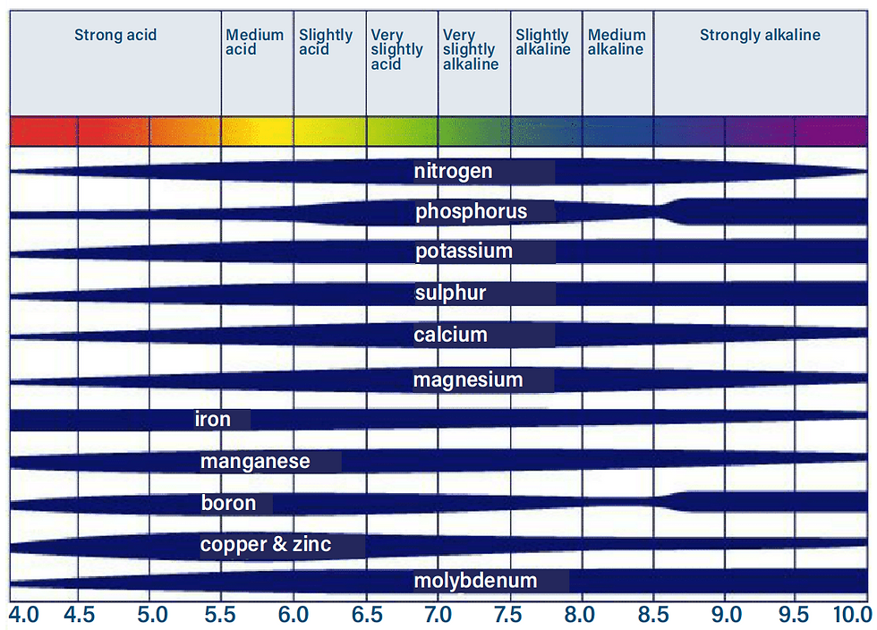 Figure 1. This widely used “pH Nutrient Availability Chart” shows how the availability of nutrients changes according to the pH. Image from Roques et al., 2013.