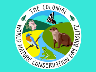 We're looking forward to Colonial World Nature Conservation Day BioBlitz 2024
