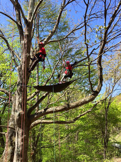 13096119_814013548729817_7658798990541366438_n