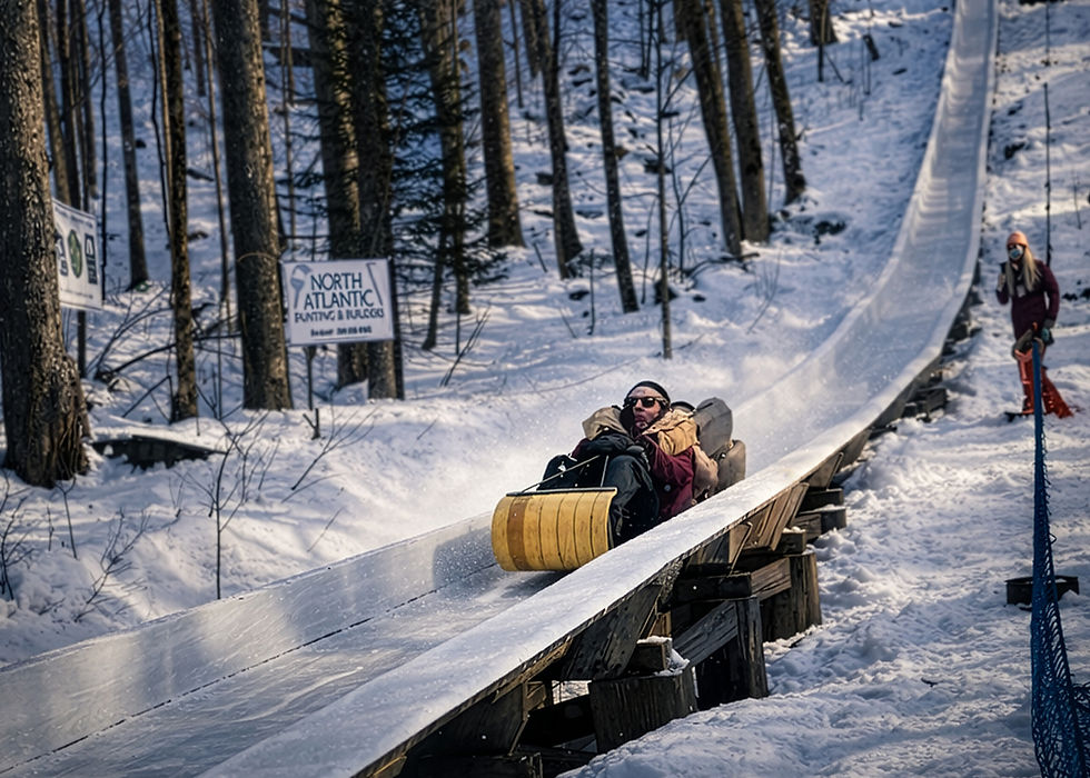 Eye-level view of a lively outdoor festival in Maine