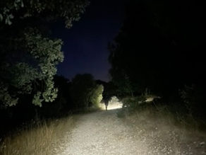 Walking in the Footsteps of Strong Women