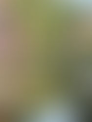 At the Bridge Between Years