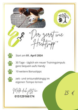 Angebot Hundetraining Vogtland