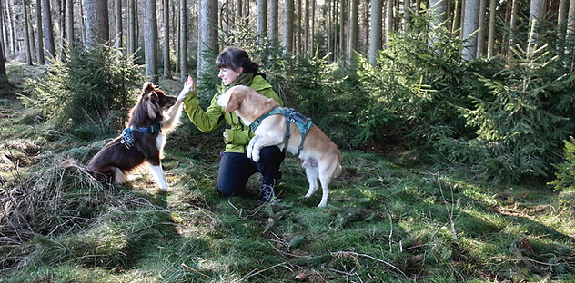 Hundeschule im Vogtland