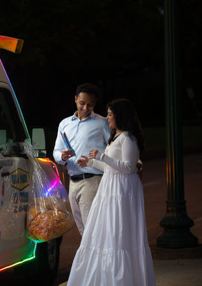 Hermann Park Proposal Photographer
