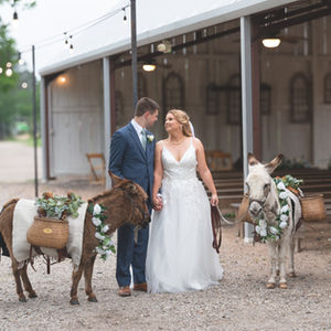 Hochzeit Hall Wedding