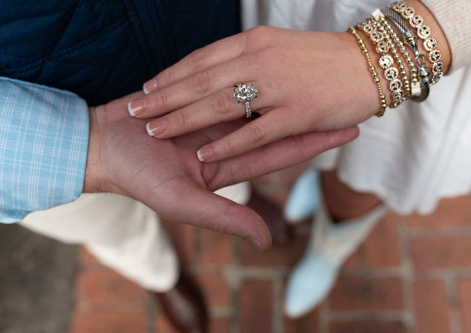 River Oaks Garden Club Surprise Proposal