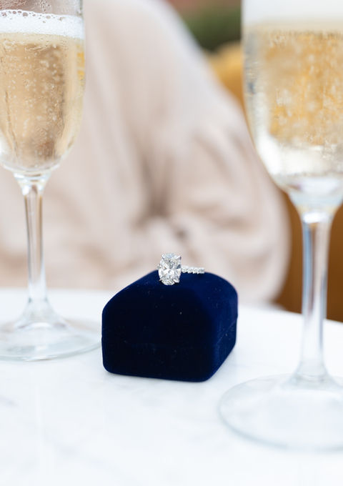 River Oaks Garden Club Surprise Proposal