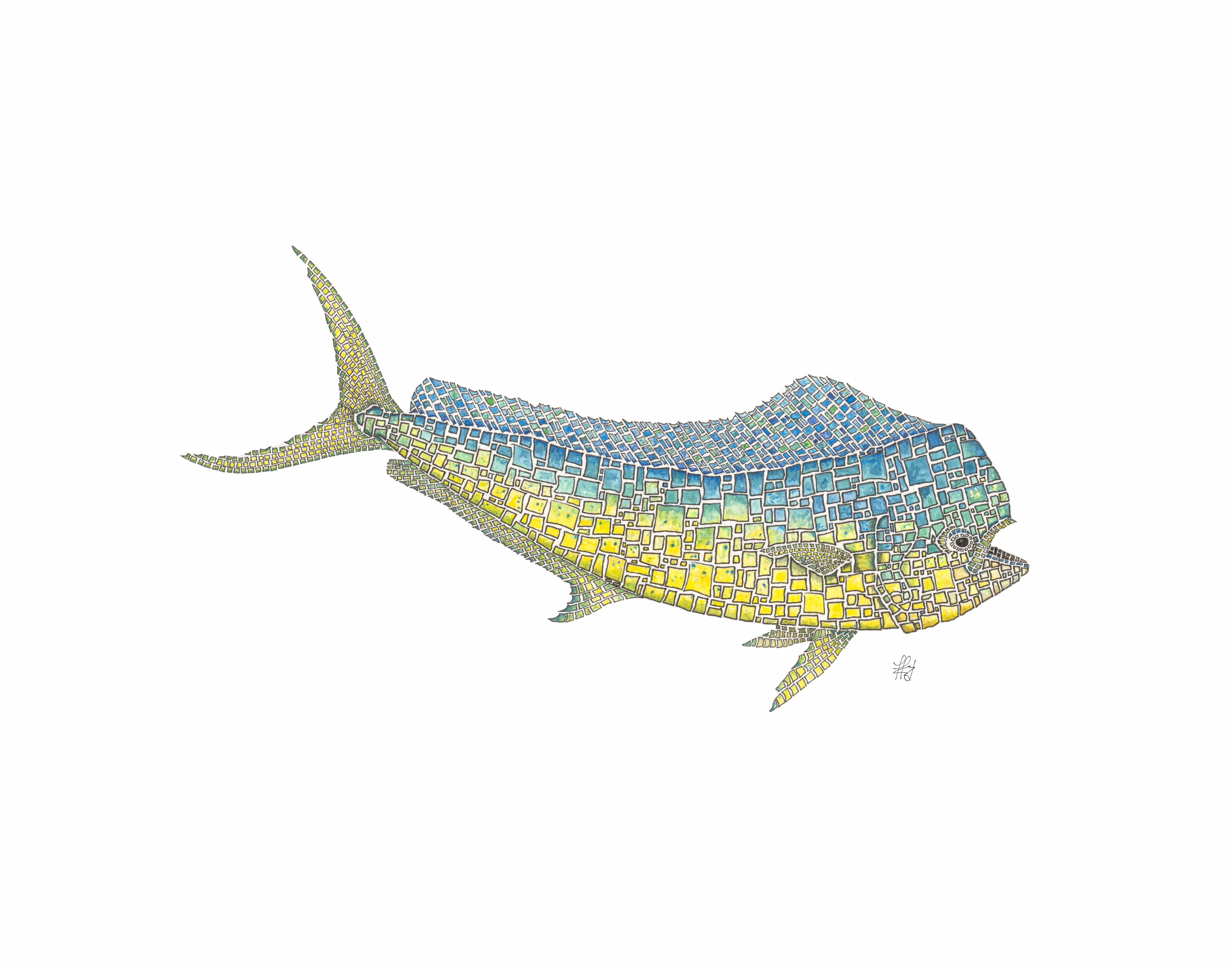 Mahi Mahi