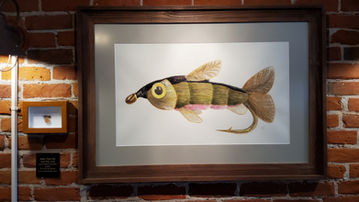 Baby Trout Fly