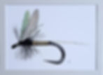 Mayfly 12x16 reproduction