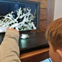 278065472_10159875738931597_7679416732291201748_n