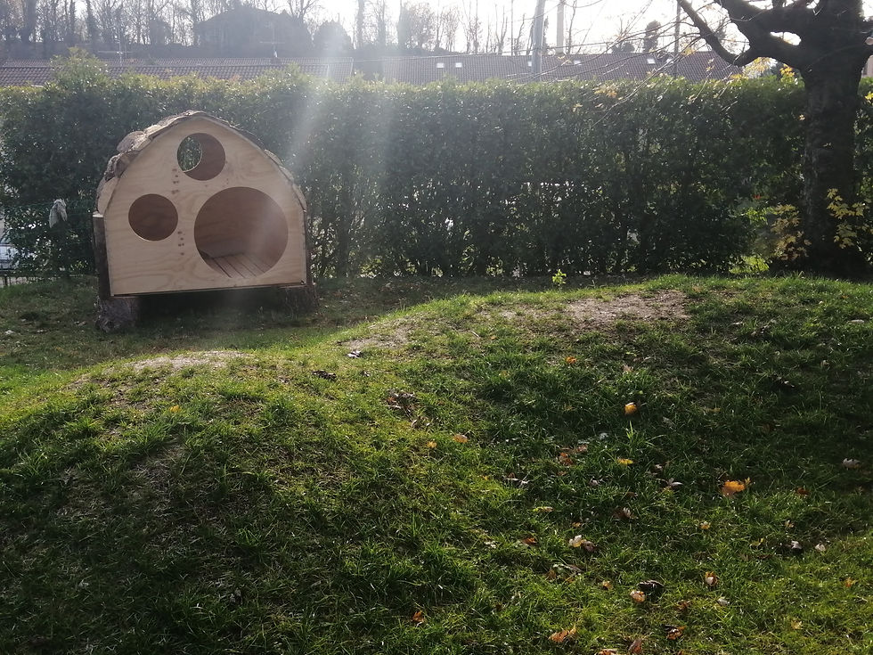 DAF didattica anche fuori